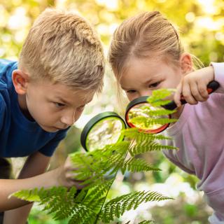 🍳 Hovorme o jedle – téma: hydina a vajíčka 🐔🥚